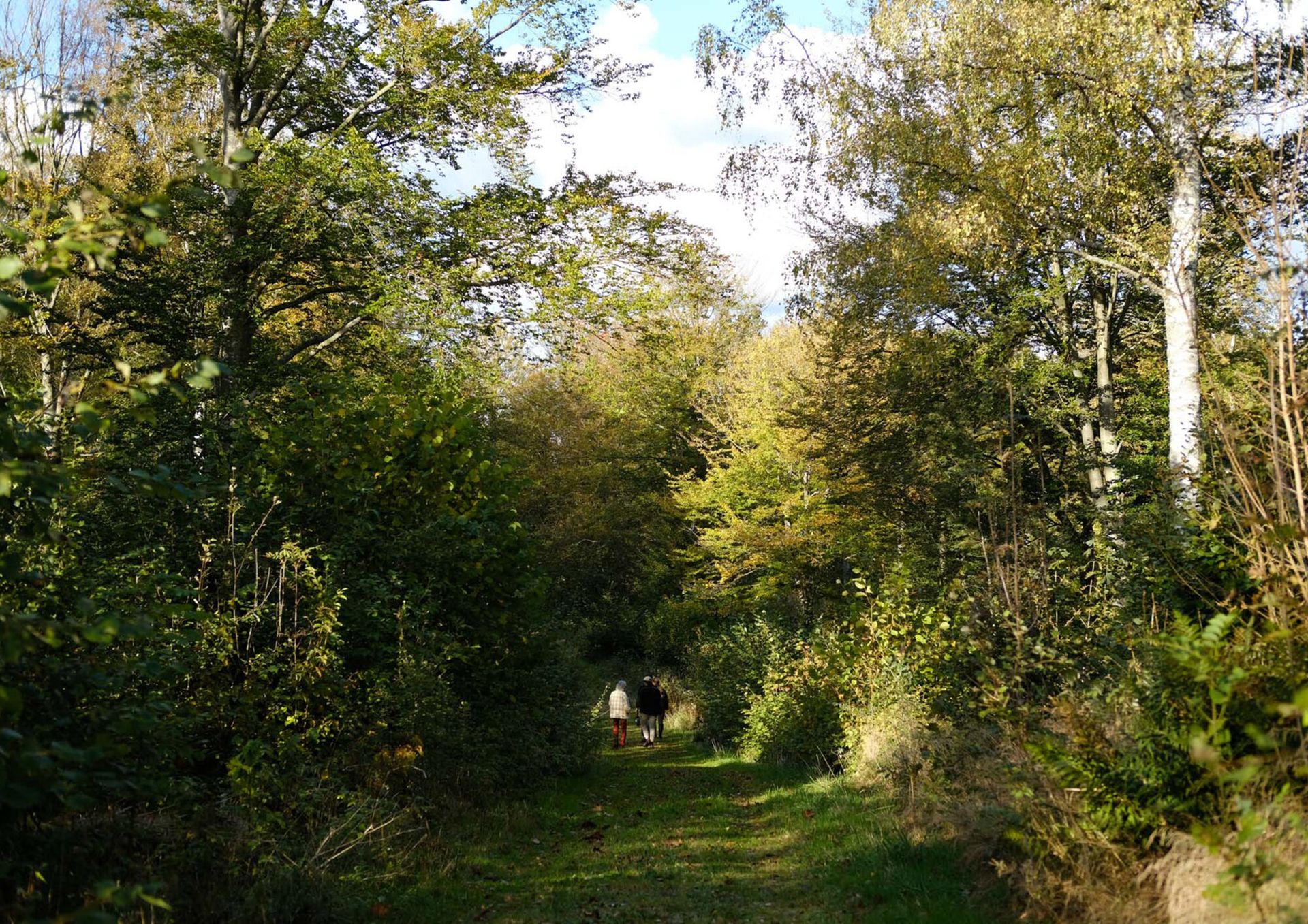 Site visit 02 2000x1414