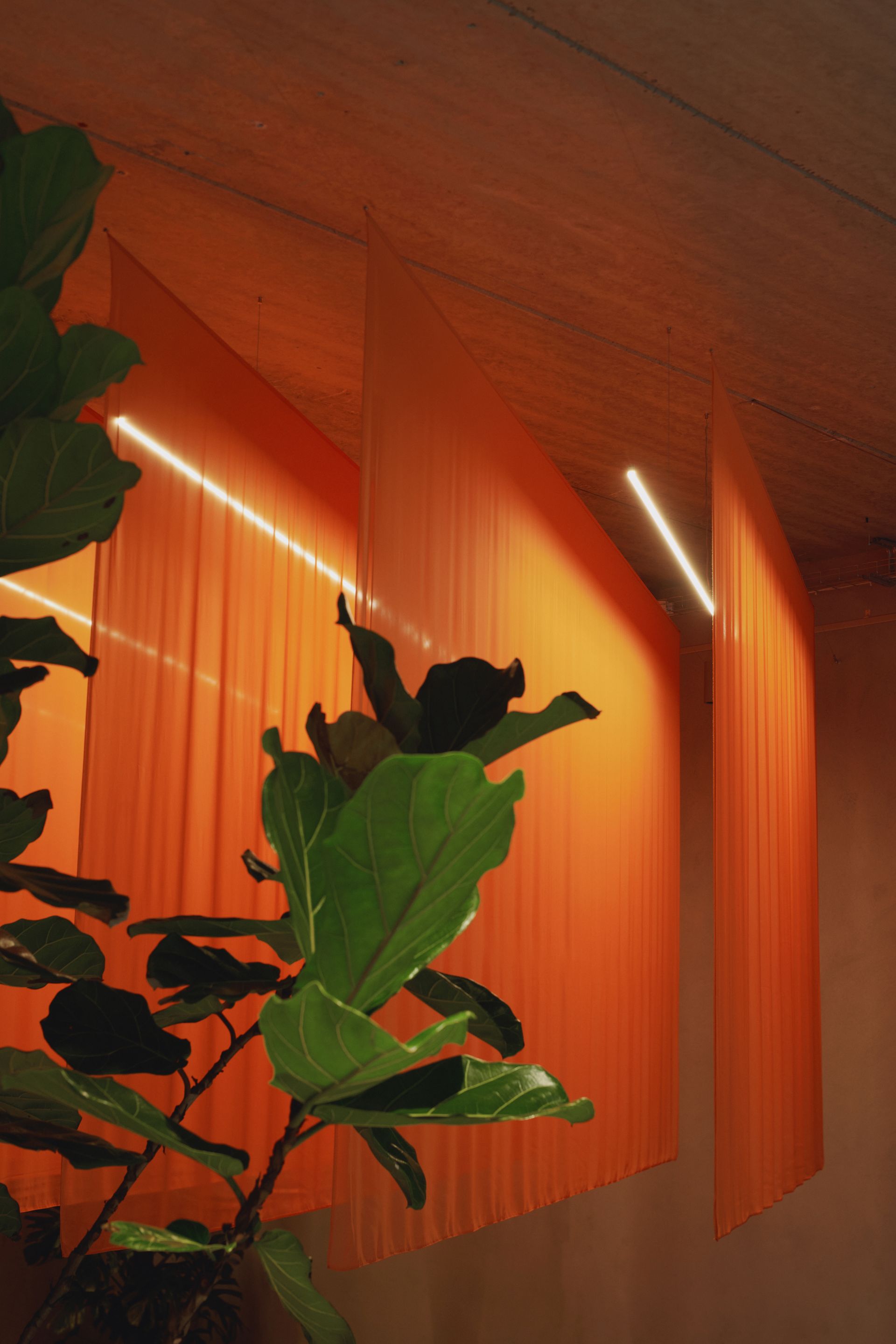 NiklasAdrianVindelev_ArchivalStudies_Kona_0120